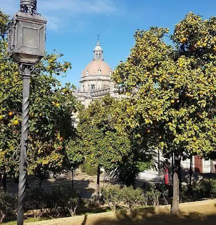 Con Vistas Al Gonzalez Byass 公寓 赫雷斯