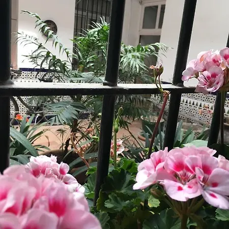 Con Vistas Al Gonzalez Byass Διαμέρισμα