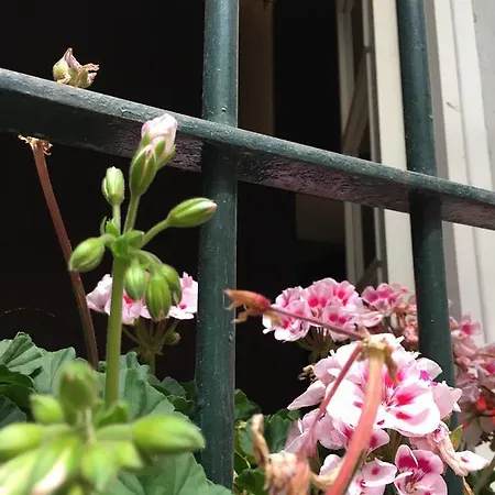 Con Vistas Al Gonzalez Byass * Χέρεζ