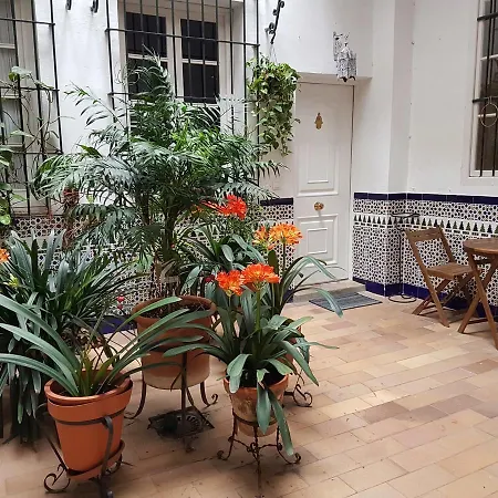 Apartamento Cruz Vieja Jerez de la Frontera