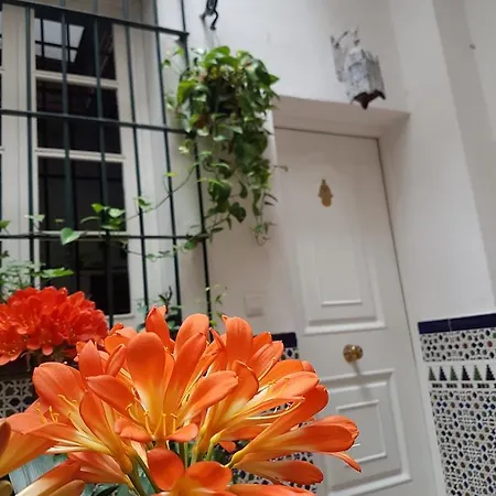 Apartamento Cruz Vieja *
