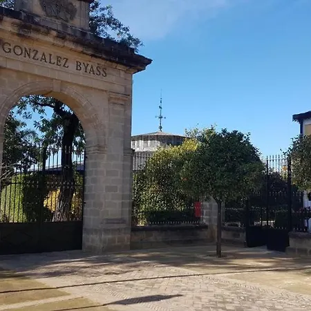 アパート Con Vistas Al Gonzalez Byass *