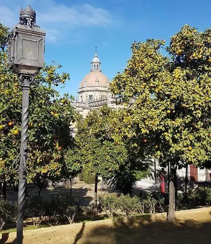 Con Vistas Al Gonzalez Byass Apartman Jerez de la Frontera